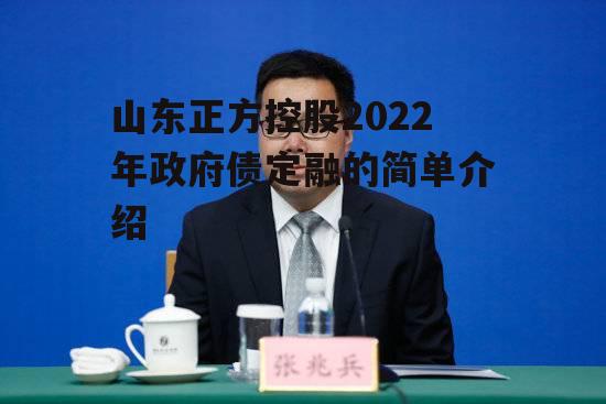 山东正方控股2022年政府债定融的简单介绍