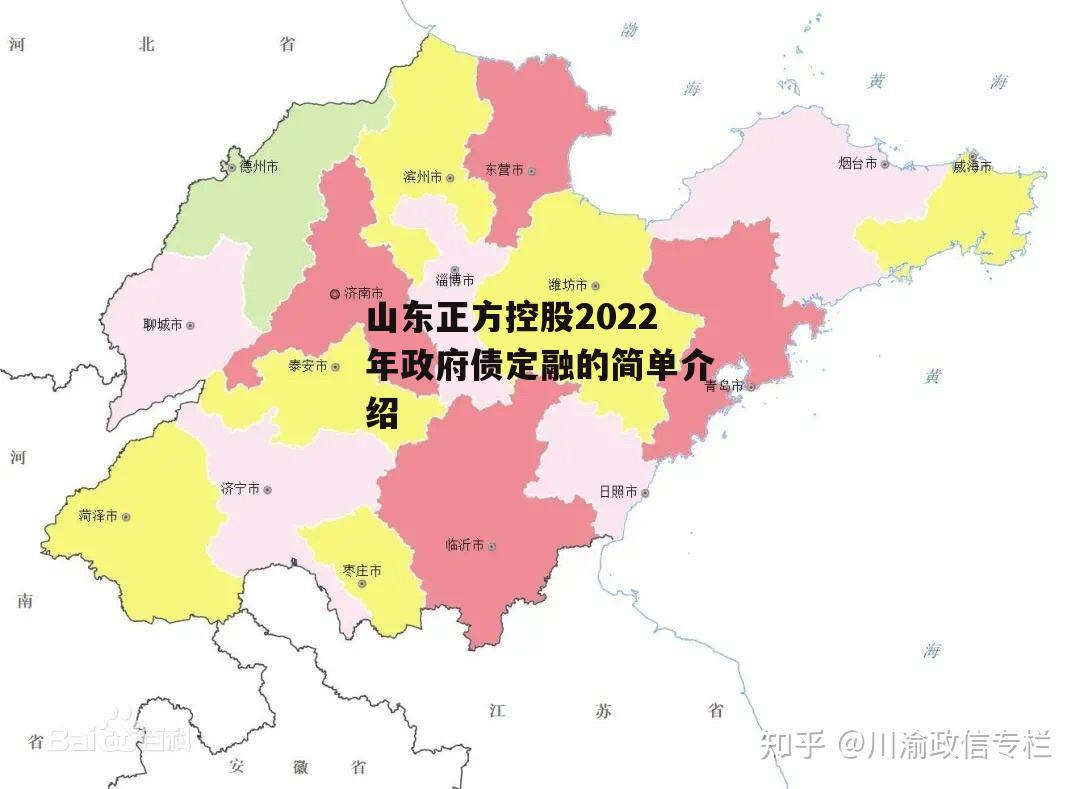 山东正方控股2022年政府债定融的简单介绍