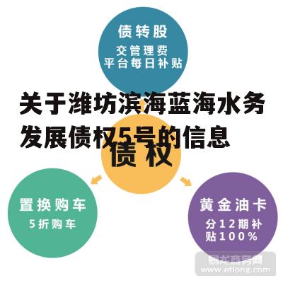 关于潍坊滨海蓝海水务发展债权5号的信息