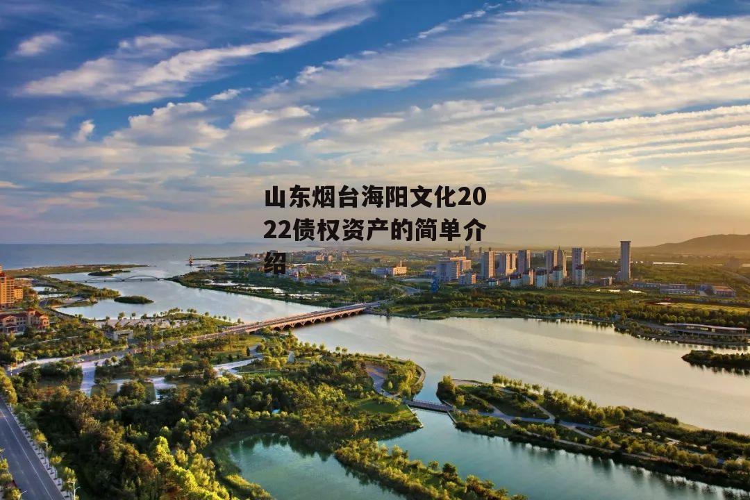 山东烟台海阳文化2022债权资产的简单介绍