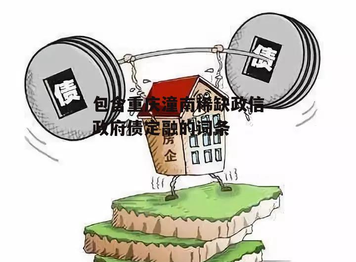 包含重庆潼南稀缺政信政府债定融的词条