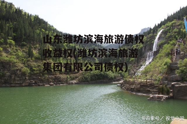 山东潍坊滨海旅游债权收益权(潍坊滨海旅游集团有限公司债权)