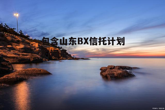 包含山东BX信托计划的词条