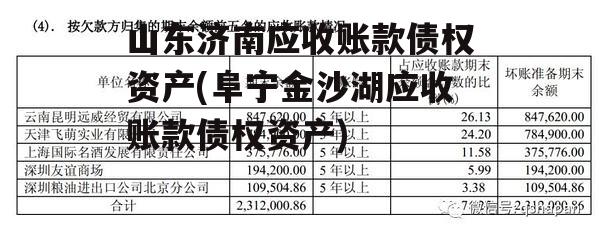 山东济南应收账款债权资产(阜宁金沙湖应收账款债权资产)