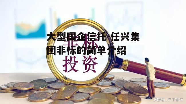 大型国企信托-任兴集团非标的简单介绍