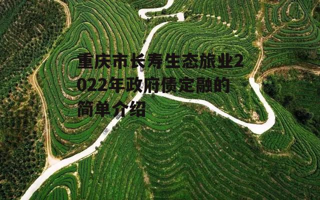 重庆市长寿生态旅业2022年政府债定融的简单介绍