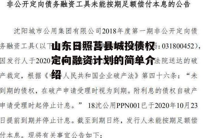 山东日照莒县城投债权定向融资计划的简单介绍