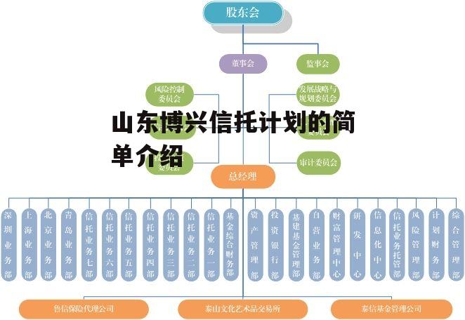 山东博兴信托计划的简单介绍