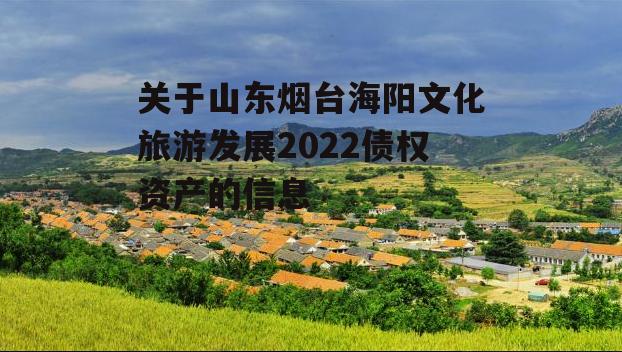 关于山东烟台海阳文化旅游发展2022债权资产的信息