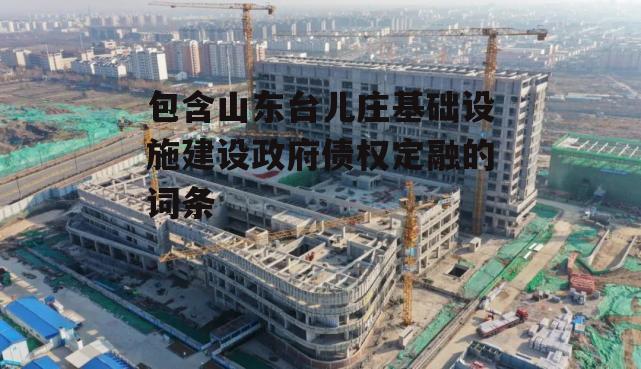 包含山东台儿庄基础设施建设政府债权定融的词条