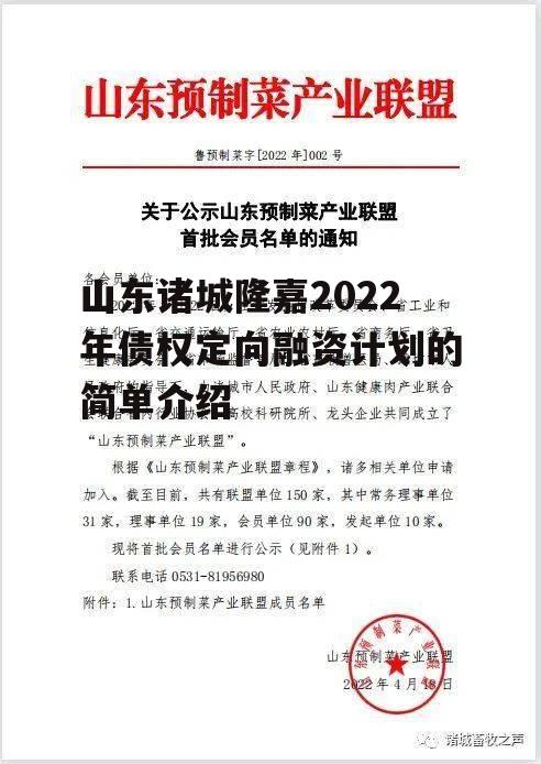 山东诸城隆嘉2022年债权定向融资计划的简单介绍