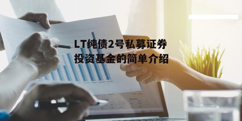 LT纯债2号私募证券投资基金的简单介绍