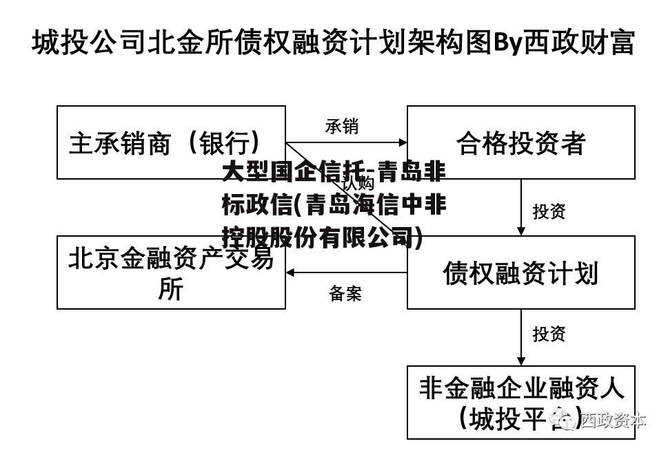 大型国企信托-青岛非标政信(青岛海信中非控股股份有限公司)