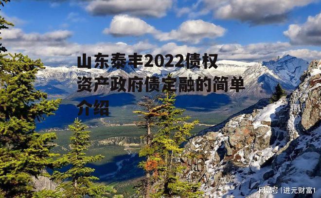 山东泰丰2022债权资产政府债定融的简单介绍