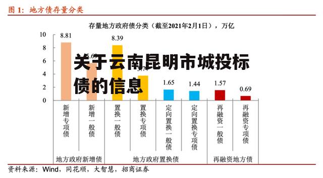 关于云南昆明市城投标债的信息