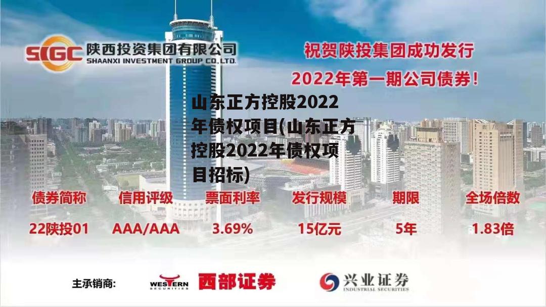 山东正方控股2022年债权项目(山东正方控股2022年债权项目招标)