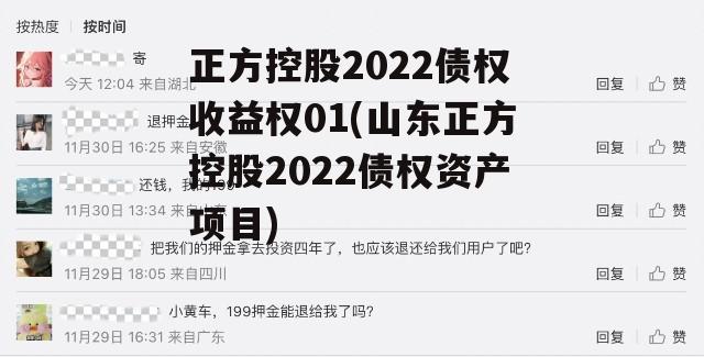 正方控股2022债权收益权01(山东正方控股2022债权资产项目)