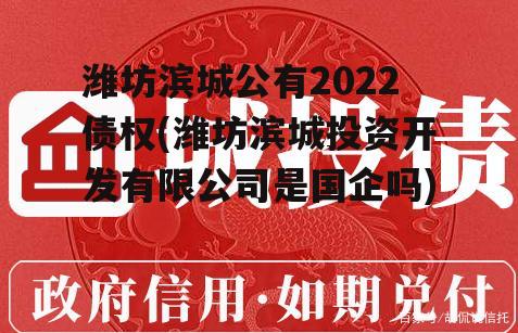 潍坊滨城公有2022债权(潍坊滨城投资开发有限公司是国企吗)