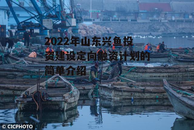 2022年山东兴鱼投资建设定向融资计划的简单介绍