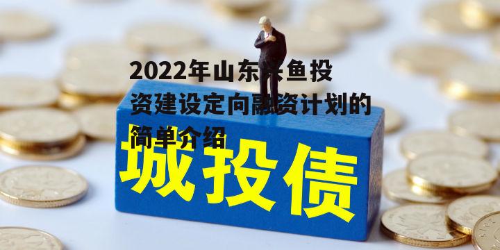 2022年山东兴鱼投资建设定向融资计划的简单介绍