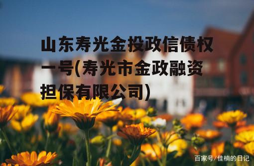 山东寿光金投政信债权一号(寿光市金政融资担保有限公司)