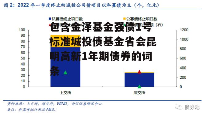 包含金泽基金强债1号标准城投债基金省会昆明高新1年期债券的词条