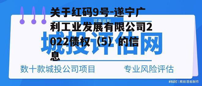 关于红码9号-遂宁广利工业发展有限公司2022债权（5）的信息