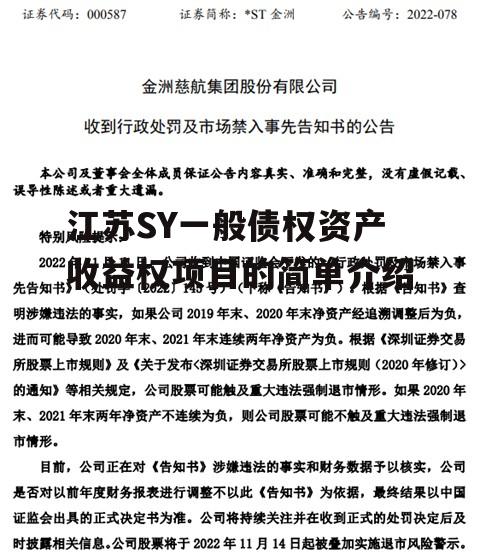 江苏SY一般债权资产收益权项目的简单介绍