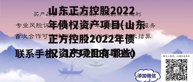 山东正方控股2022年债权资产项目(山东正方控股2022年债权资产项目有哪些)