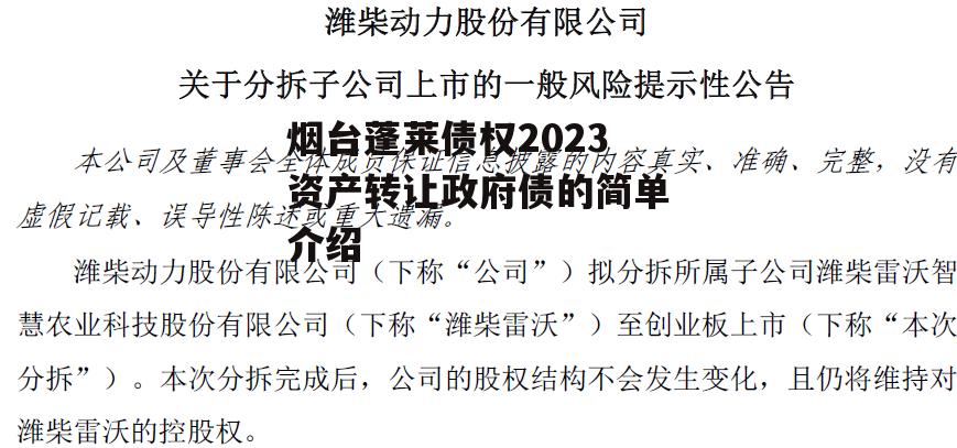 烟台蓬莱债权2023资产转让政府债的简单介绍