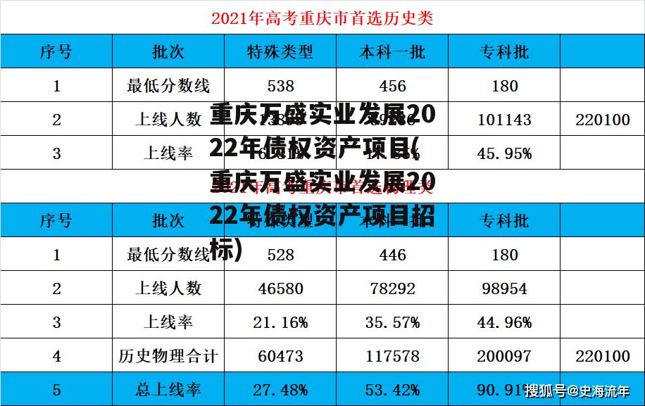 重庆万盛实业发展2022年债权资产项目(重庆万盛实业发展2022年债权资产项目招标)