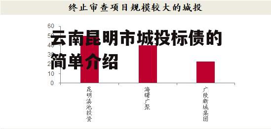 云南昆明市城投标债的简单介绍