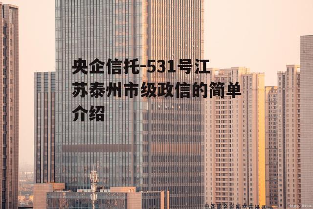 央企信托-531号江苏泰州市级政信的简单介绍