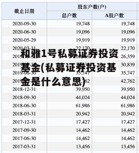 和雅1号私募证券投资基金(私募证券投资基金是什么意思)