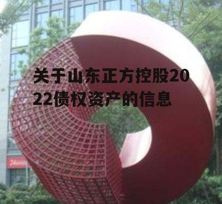 关于山东正方控股2022债权资产的信息