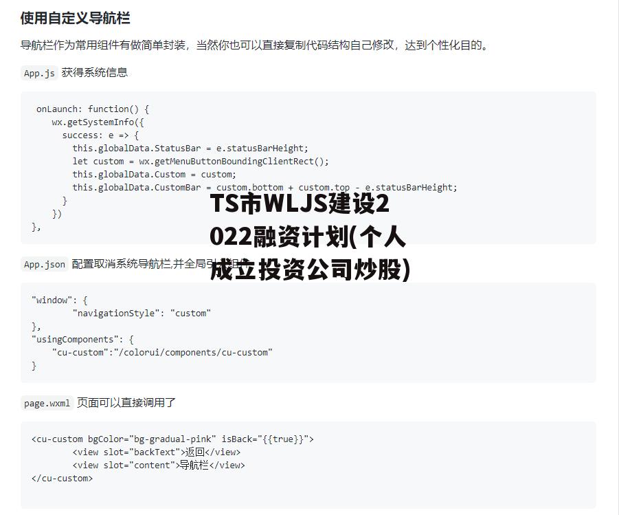 TS市WLJS建设2022融资计划(个人成立投资公司炒股)