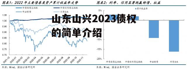 山东山兴2023债权的简单介绍