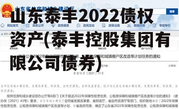 山东泰丰2022债权资产(泰丰控股集团有限公司债券)