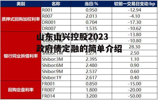 山东山兴控股2023政府债定融的简单介绍