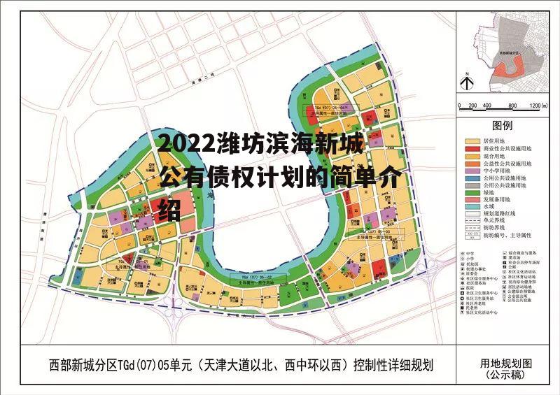 2022潍坊滨海新城公有债权计划的简单介绍