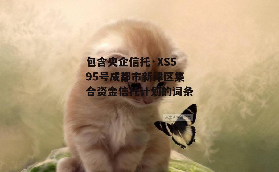 包含央企信托·XS595号成都市新津区集合资金信托计划的词条