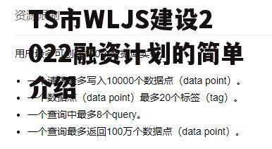 TS市WLJS建设2022融资计划的简单介绍