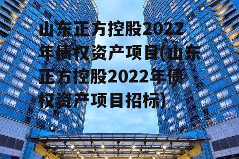 山东正方控股2022年债权资产项目(山东正方控股2022年债权资产项目招标)