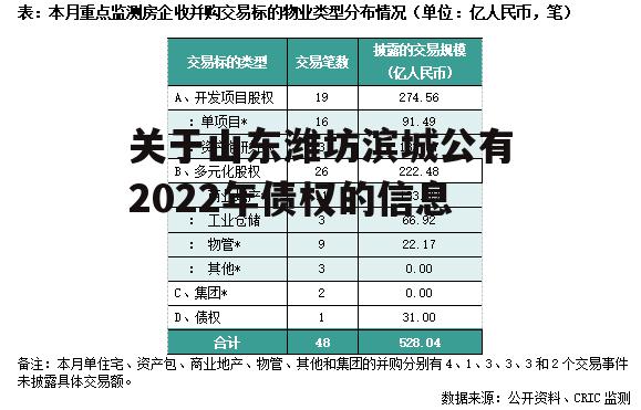 关于山东潍坊滨城公有2022年债权的信息