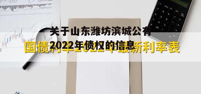 关于山东潍坊滨城公有2022年债权的信息