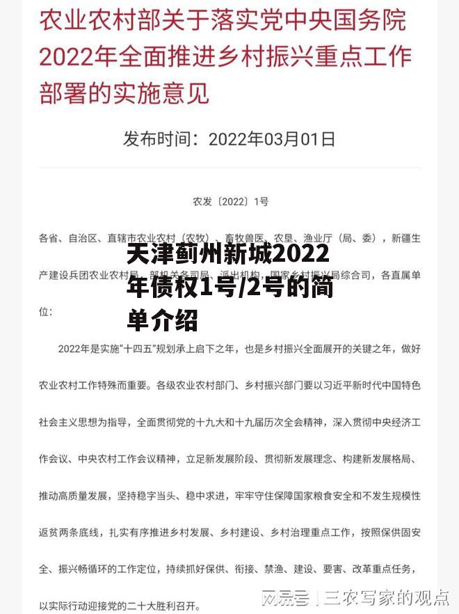 天津蓟州新城2022年债权1号/2号的简单介绍