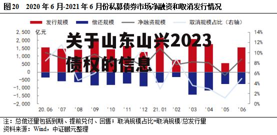 关于山东山兴2023债权的信息