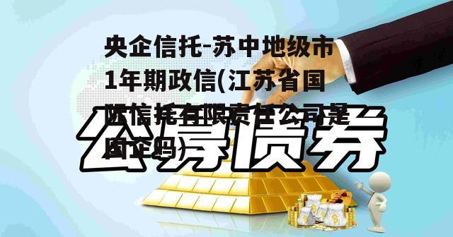 央企信托-苏中地级市1年期政信(江苏省国际信托有限责任公司是国企吗)