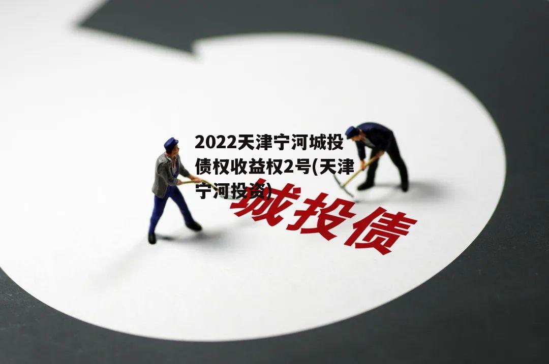 2022天津宁河城投债权收益权2号(天津宁河投资)