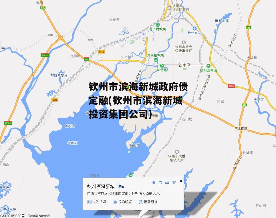 钦州市滨海新城政府债定融(钦州市滨海新城投资集团公司)